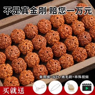 精选大金刚尼泊尔爆肉散珠文玩手工DIY核桃原籽菩提手串佛珠配珠