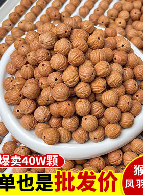 野生凤羽猴头精选散珠
