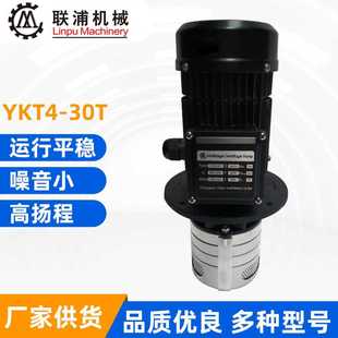30T立式 数控机床 YKT4 CNC机床水泵 标准增压泵 加 工中心油泵