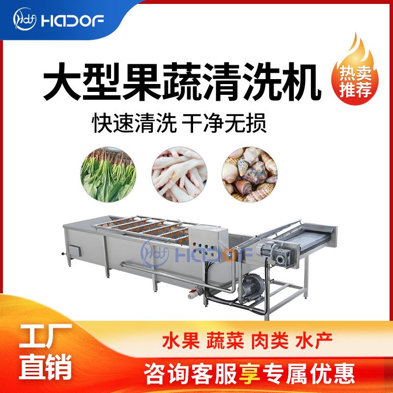 大型果蔬气泡清洗机水果草莓车里子苹果玉米高压喷淋清洗设备