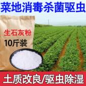 生石灰粉杀虫种菜消毒刷墙刷树正宗高纯度石灰粉干燥剂防潮湿农用