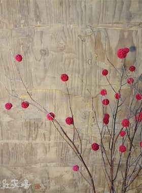 【华枝丰果】红果枝干花咖啡馆艺术馆家居摆设花瓶摄影道具干树枝