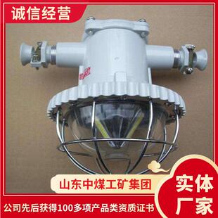 DGS20-30/127L矿用隔爆型LED巷道灯价格隔爆型LED巷道灯