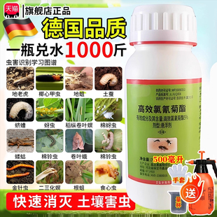 敌敌杀虫剂畏畏气雾剂滴滴农药畏大全正品植物农用高效氯氟氰菊脂