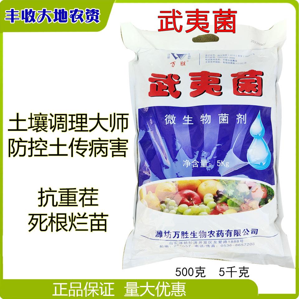 武夷菌微生物菌剂 土壤调理大师抗重茬死根烂苗防控土传病害菌肥