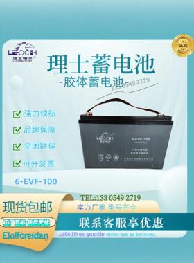 理士6-EVF-100 DT106 EV6390系列新能源观光车电动叉车升降台电池