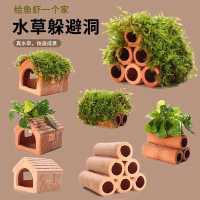 鱼缸躲避屋小鱼小虾孔雀鱼黑壳虾卡通洞小型水草陶罐装饰造景摆件
