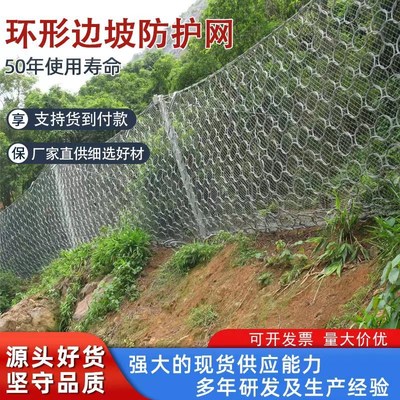 被动边坡防护网环形网护坡固土网防山体落石拦截钢丝W网边坡防护