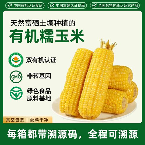 有机黄糯玉米真空装非转基因富硒低脂粘糯家庭上班族早晚健康代餐