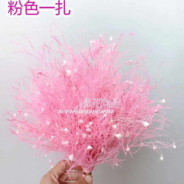 【永生花梦幻草】ins小花束配材 永生花柔丝 梦幻草 龙须草