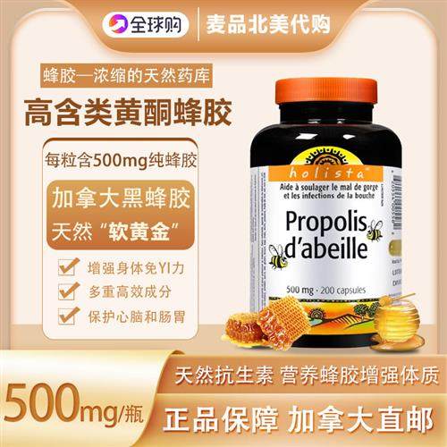 holista加拿大黑蜂胶单粒含量500mg高浓度每天一粒健康天然