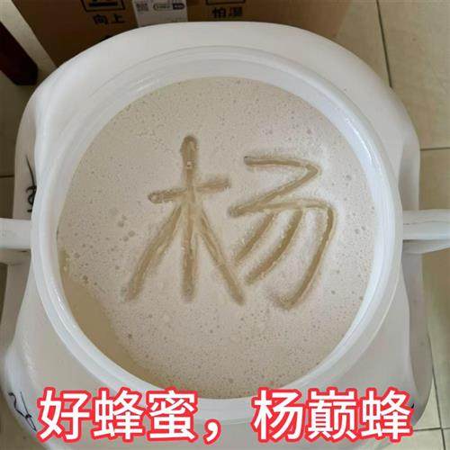 纯正椴树蜜自然成熟42度无添加农家天然生蜂蜜有花香东北黑蜂2斤