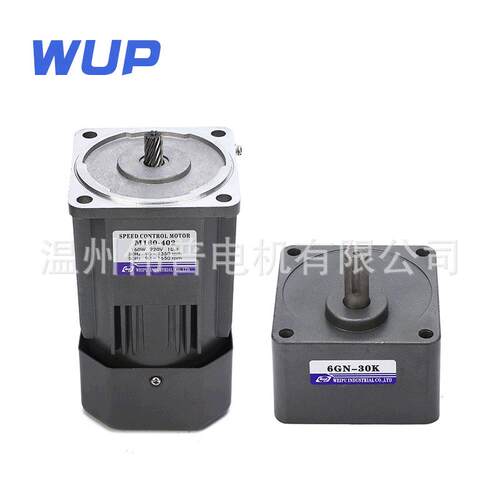 伟普供应微型调速速电机交流220v速马达m160-4026I160RGN-C