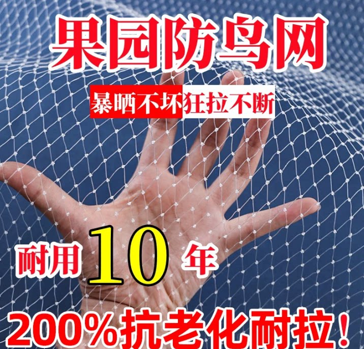 果树防鸟网嘉宝果树防鸟用的网农用防鸟丝网果园天网防鸟罩子阳台