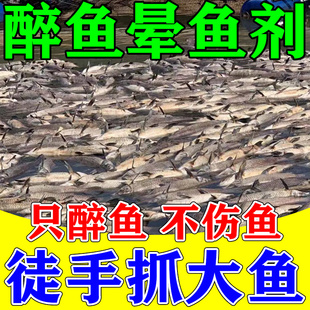 醉鱼药特效晕鱼药不伤鱼神器鱼用麻醉捕鱼专用缺氧药封氧剂醉鱼灵