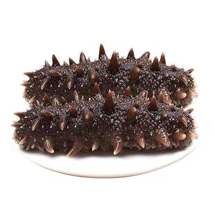 4斤/6斤即食海参开袋即食辽刺参鲜活野生大连辽参刺参非淡干海参