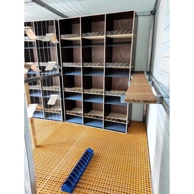 鸽子组合巢箱[1格40X40Cm]大鸽笼木制鸽笼实木种植鸽笼