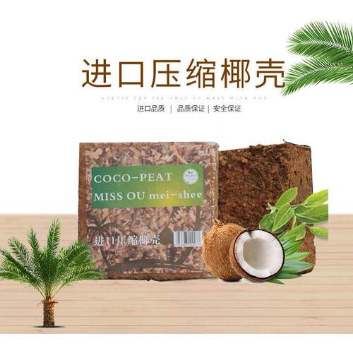 进口粗椰壳砖椰糠椰土月季土兰花土粗椰颗粒块状爬虫垫材约4公斤