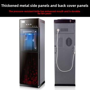 新型制冷饮水机立式家庭办公钢化玻璃双门节能高端特惠价冰热水锅