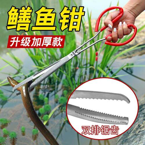 黄鳝夹子加长防滑鳝鱼夹不锈钢抓螃蟹泥鳅钳子赶海工具长鱼捕捉器