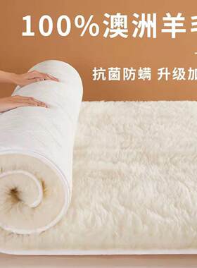 A类澳洲纯羊毛床垫秋冬季床褥子加厚软垫长毛垫被保暖羊羔绒垫子