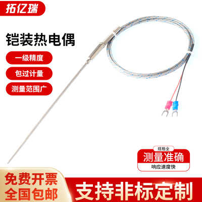 k型铠装热电偶wrnk-191针式感温线热电阻pt100温度传感器E/J探头