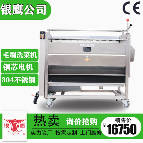 银鹰毛刷洗菜机CX系列土豆脱皮机藕萝卜根茎类清洗洗菜机