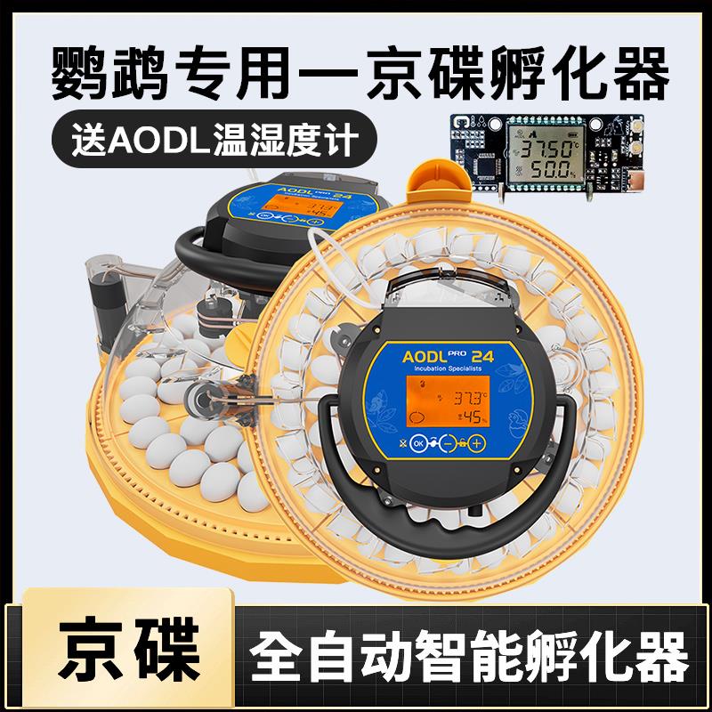黄姐家小飞碟孵化器养殖场专用全自动家用多蛋位鹦鹉孵化机工业级