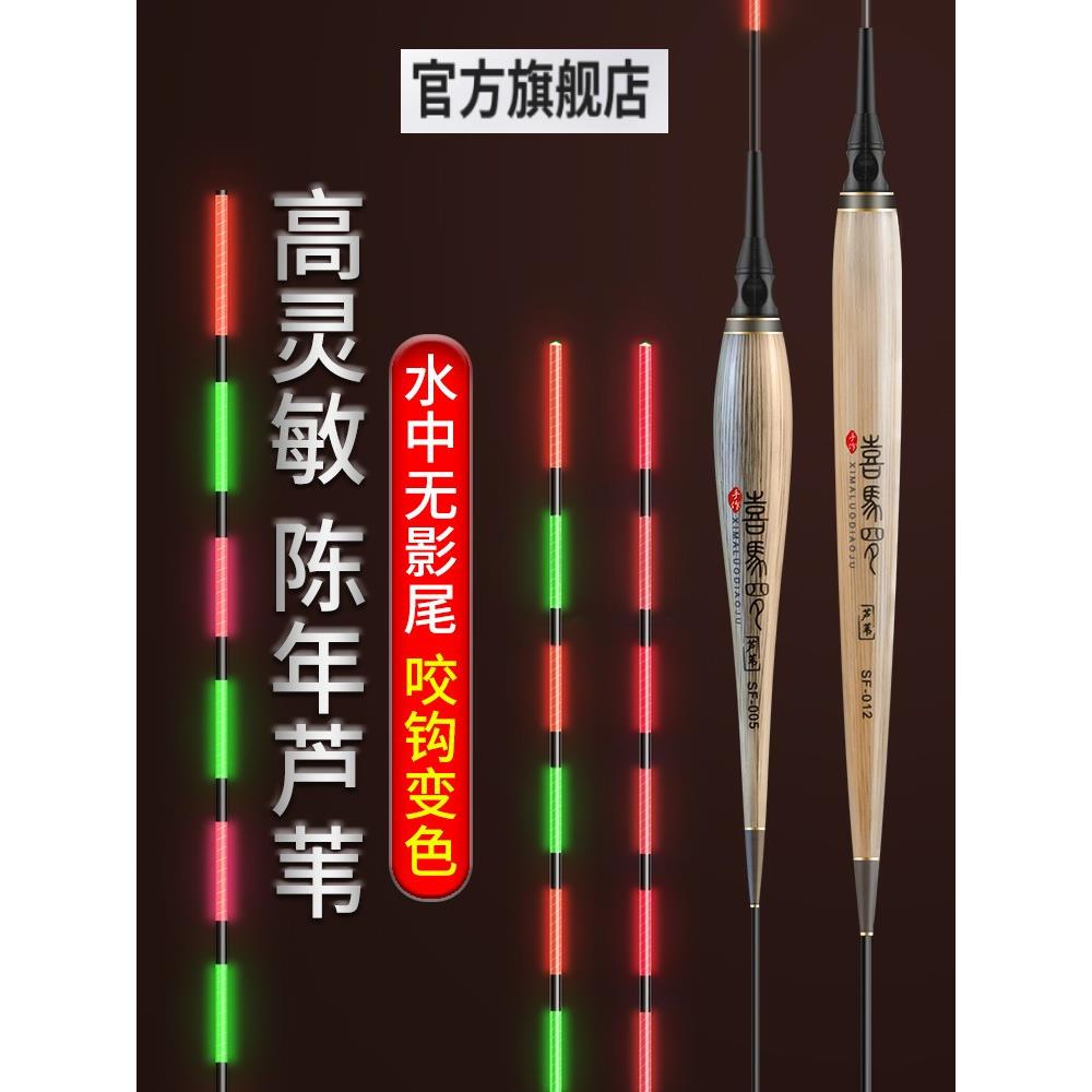 小凤仙电子漂芦苇夜光漂咬钩变色醒目高灵敏浮漂水无影野钓鲫鱼漂