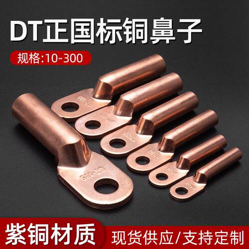 正国标5个 DT铜接线端子 铜鼻子 铜接线鼻电缆接线鼻线耳DTM