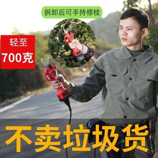 修枝剪园林修剪机电剪子粗树枝剪枝 德国欧彦德电动剪刀果树充电式