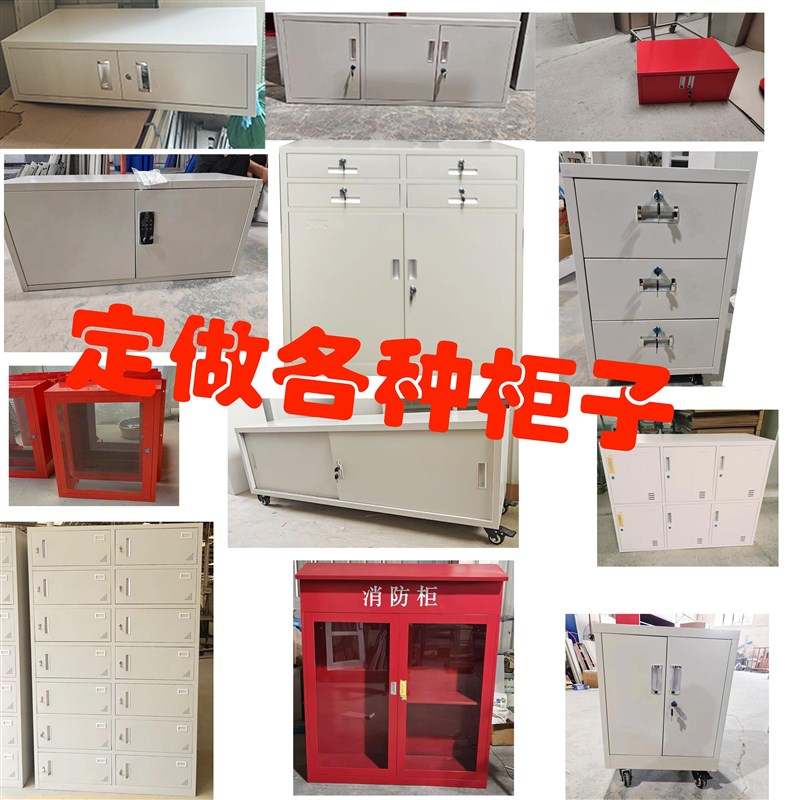 定制柜子钢柜铁皮柜文件柜资料矮柜家用不锈钢储物柜门口鞋柜顶柜