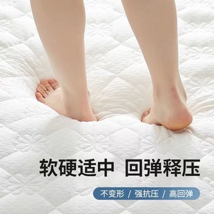 加厚床垫软垫家用卧室垫子宿舍学生单人榻榻米垫被租房垫褥子