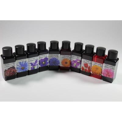 现货正装 英国Diamine戴阿米彩墨 花卉系列 勃艮第玫瑰30ml
