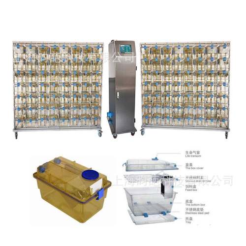 动物通风笼具实验室笼老鼠笼小白鼠笼实验室招标项目大学实验室