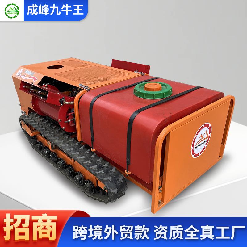 厂家新型智能遥控摇摆式风送打药机果园多地形大容量履带打药车