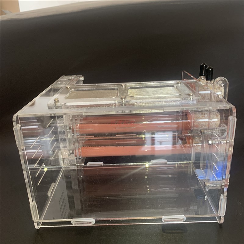 25口径6试管巢  大蚁道 大尺寸 大活动区625狂魔蚂蚁竹节巢