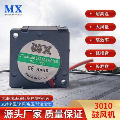 厂家供应 5V3010鼓风机风扇，12V3010鼓风机 涡轮风扇，3CM鼓风机