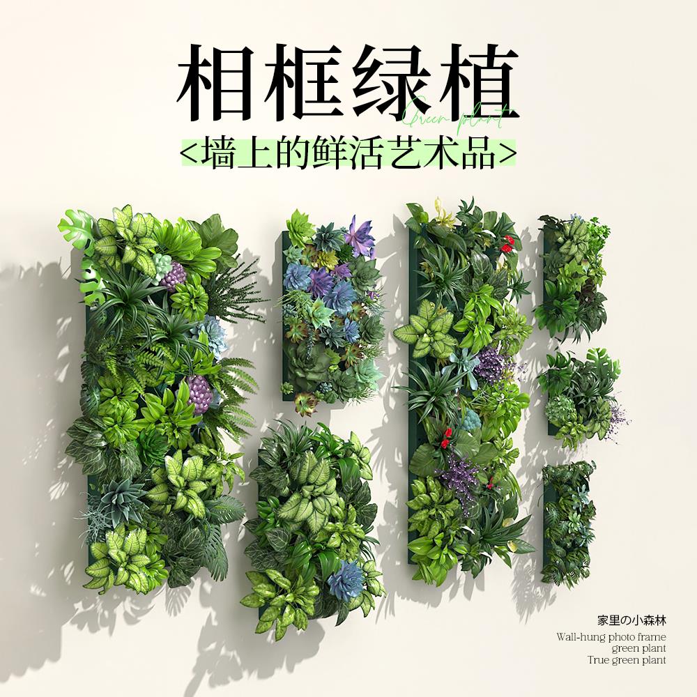 壁挂植物墙适合客厅摆放的高端大气上档次绿植玄关挂件装饰好养活