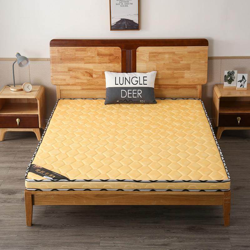 垫椰棕床生棕榈偏硬双人LID儿童儿童1.5米e1.2经济型学宿舍3床垫