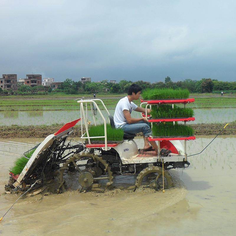 水稻插秧机 乘坐DTK式插油插苗机 深禾 6-8行稻机子插秧设柴备,农机/农具/农膜,播种栽苗器/地膜机,淘宝优惠券,粉丝福利购,淘宝优惠卷