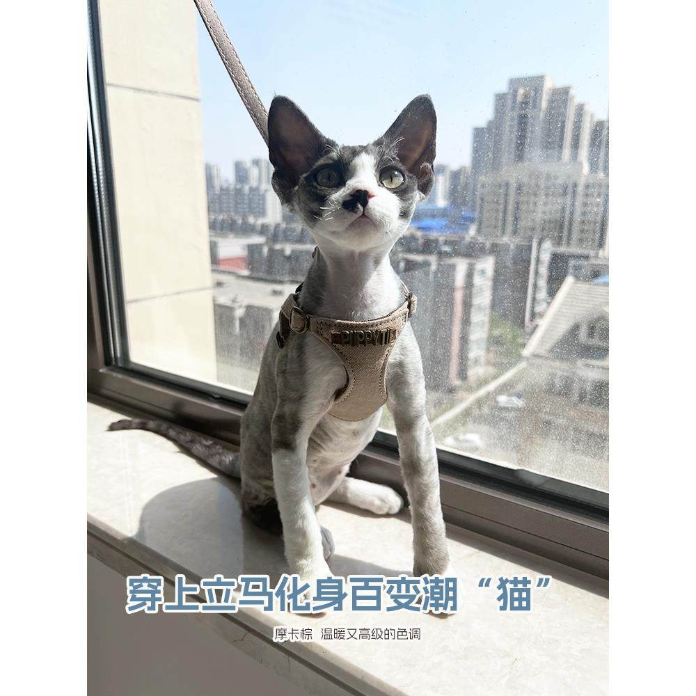 小狗猫牵引绳，防止在外出时断裂背心风格小猫德国猫胸部和背部可,宠物/宠物食品及用品,猫牵引绳,淘宝优惠券,粉丝福利购,淘宝优惠卷