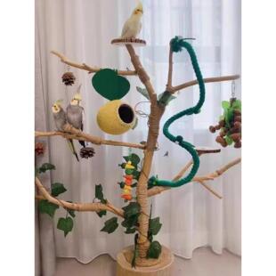 鸟站架树枝树杆鹦鹉站架树干原木站杆树杈秋千鸟笼实木灯架枯枝