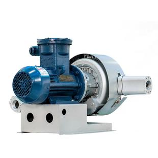 113FBZ 135 加工FB 14888.5 93D FBZ 防爆漩涡直联高压风