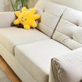 天鹅翻折沙发床客厅沙发床两用2025年新款 带床垫一体小户型拉床