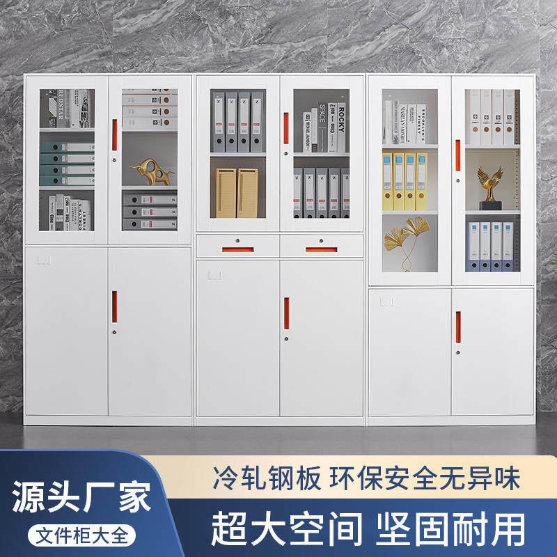 拆装文件柜铁皮柜矮柜办公柜档案资料柜带锁储物柜财务多层凭证柜图片