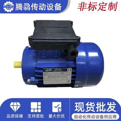 意大利布鲁尼BRUNI单相电容电机厂家直销0.09KW~~4KW