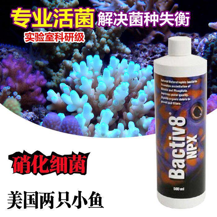 美国两只小鱼硝化细菌海缸消化菌水族水质净化稳定全菌种活性菌液