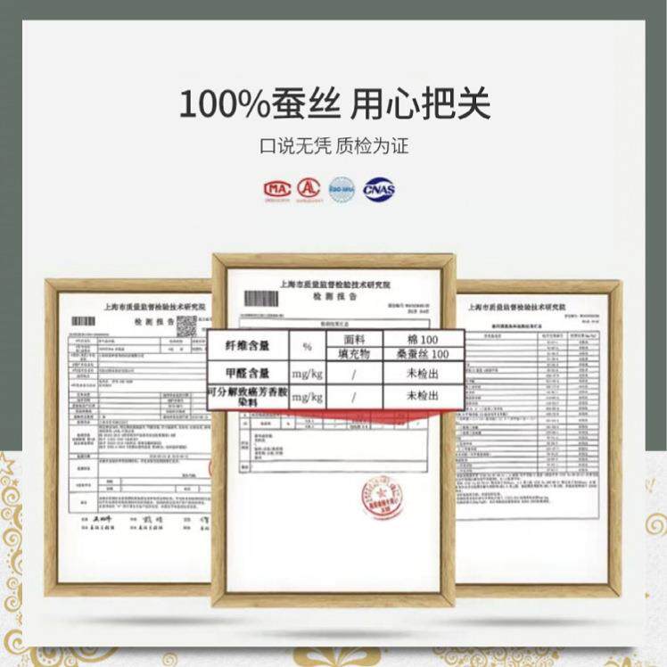 全棉手人工蚕丝厚被双宫桑蚕春秋被加冬被双二合丝一子母IWB被芯