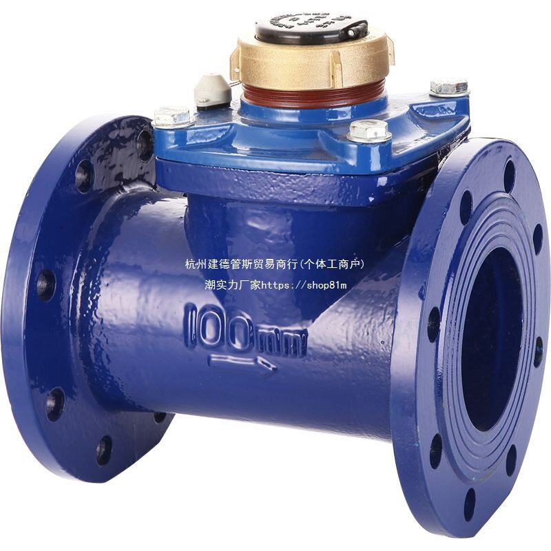 LXLC水表DN80 100 150法兰水表 可拆式水表干式水表 防冻污水水表
